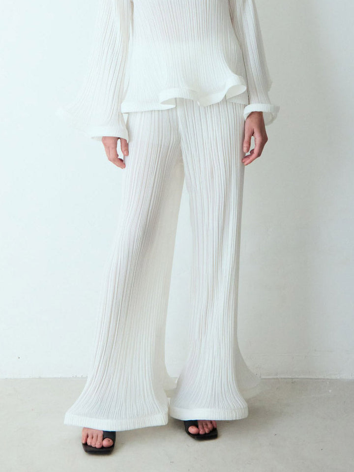 Elegant Ruffled Pleated Top And Pants Two-Piece Set