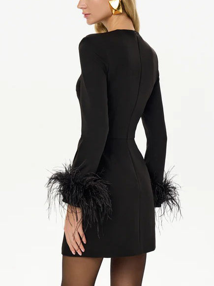 Elegant Feather Sleeve Slit Mini Dress
